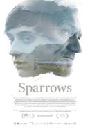 W130 sparrows