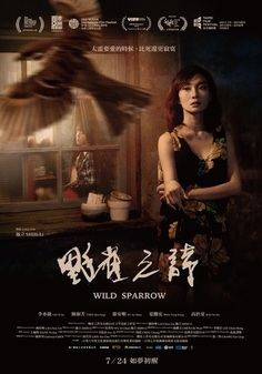 W236 wild sparrow